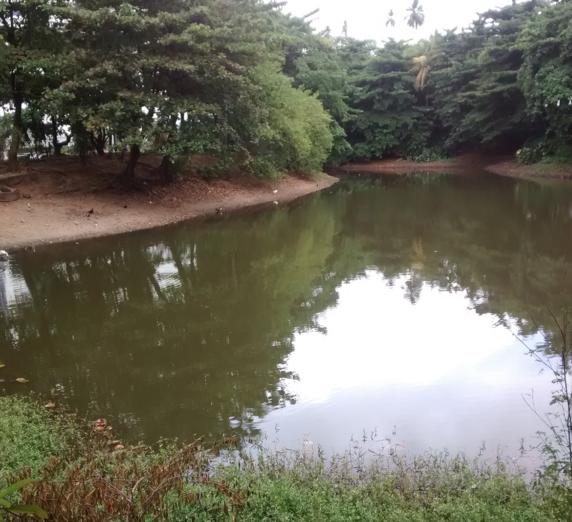 Lagoa dos patos passa a ser monitorada por técnicos
