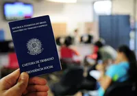 SineBahia oferece vagas de emprego para esta sexta-feira (7); confira!