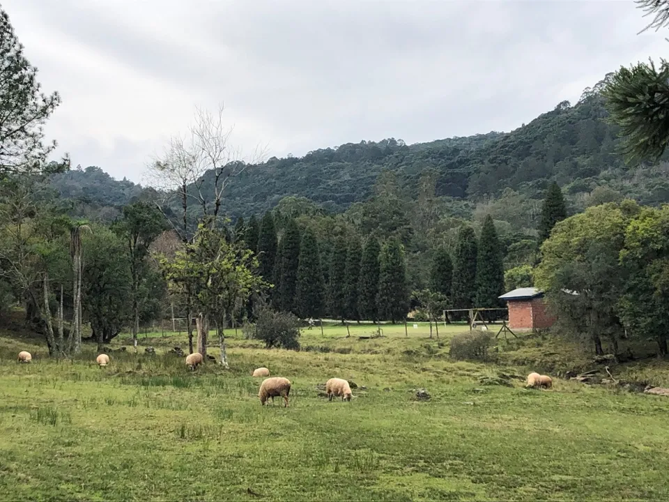 Na Tour do Vale, é possível passear por propriedades rurais que contam a história de Gramado