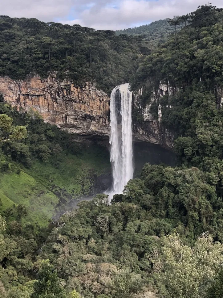 Imagem ilustrativa da imagem Uma viagem sustentável à Serra Gaúcha