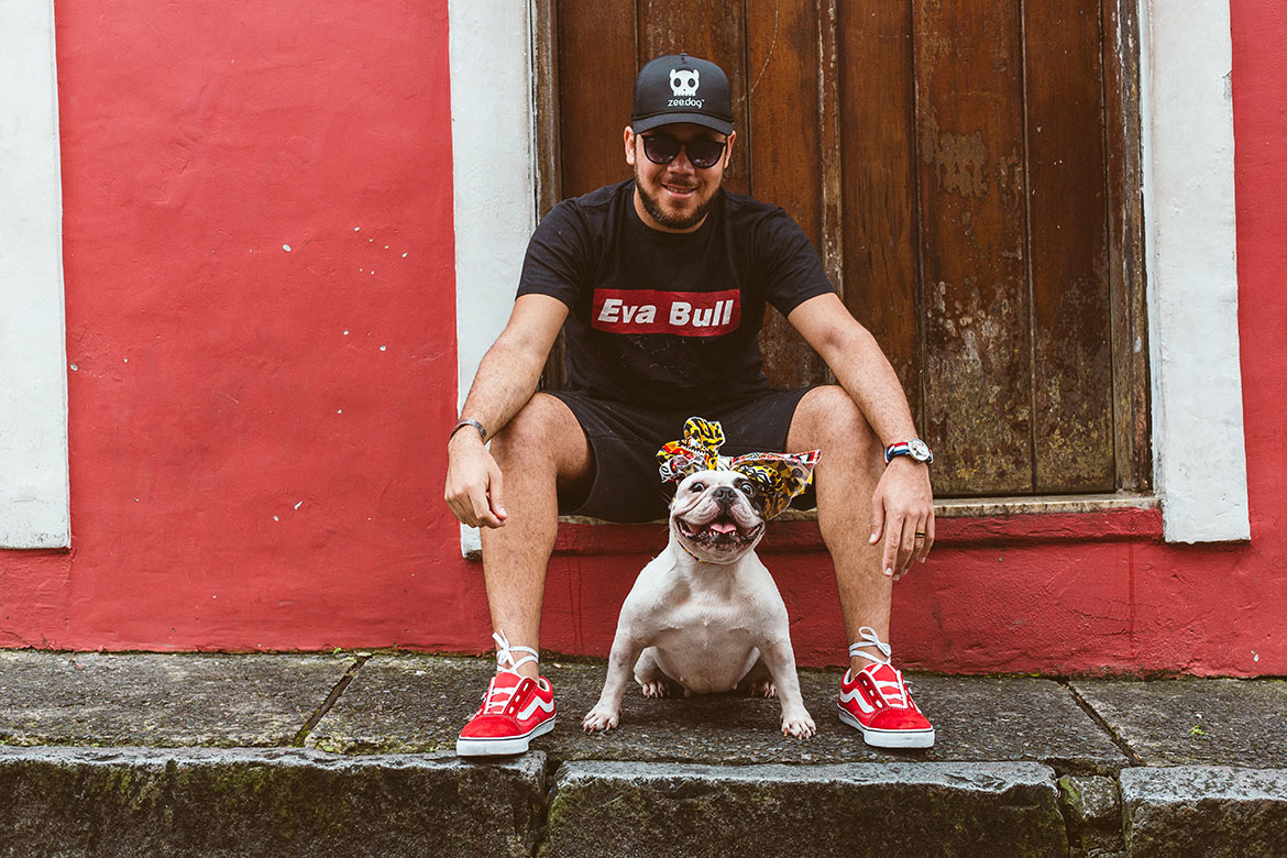 Imagem ilustrativa da imagem Pets fazem sucesso e conquistam público nas redes socais
