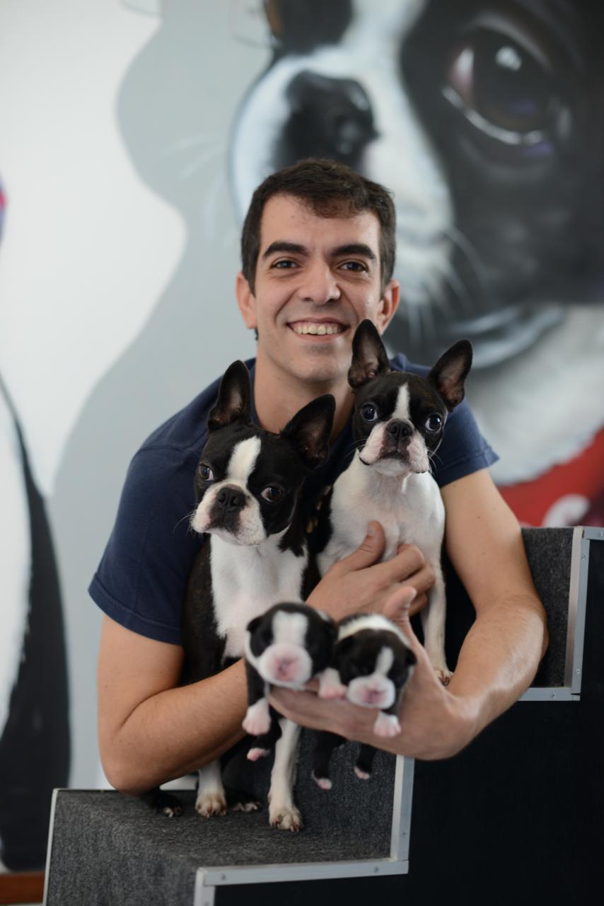 Imagem ilustrativa da imagem Pets fazem sucesso e conquistam público nas redes socais