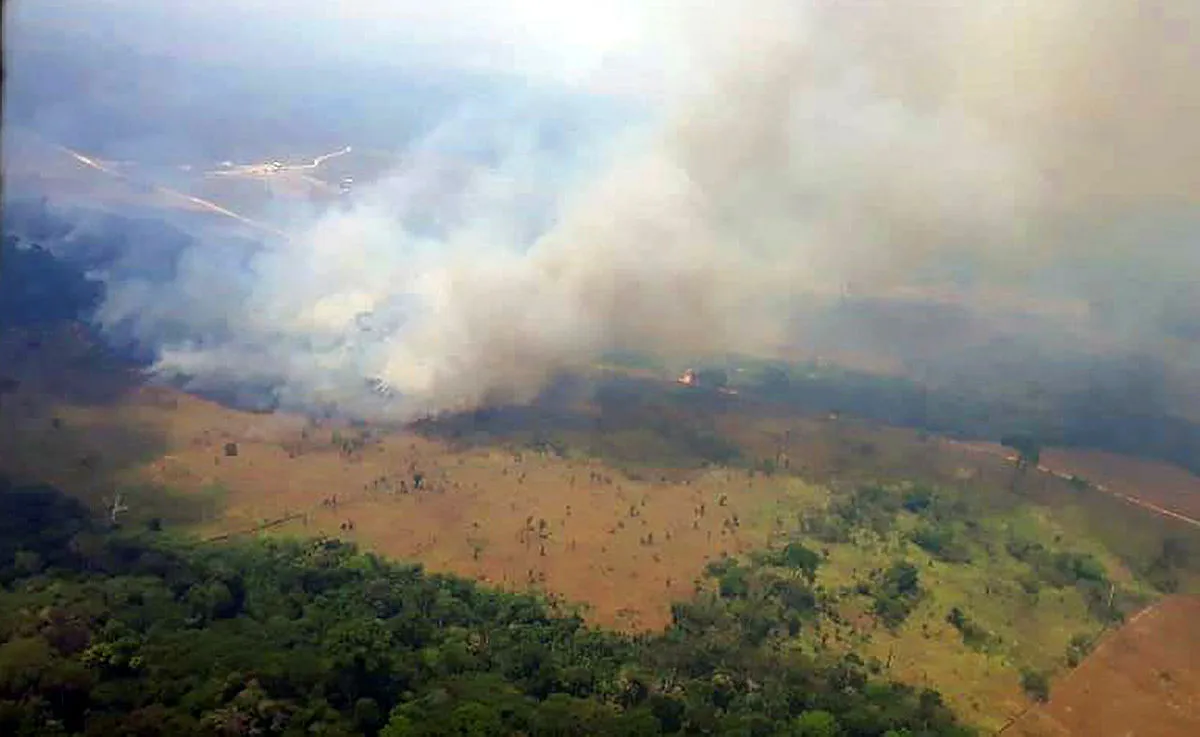 Unidades de conservação e terras indígenas estão entre as florestas atingidas