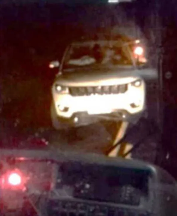 Animal estava na pista no momento do acidente