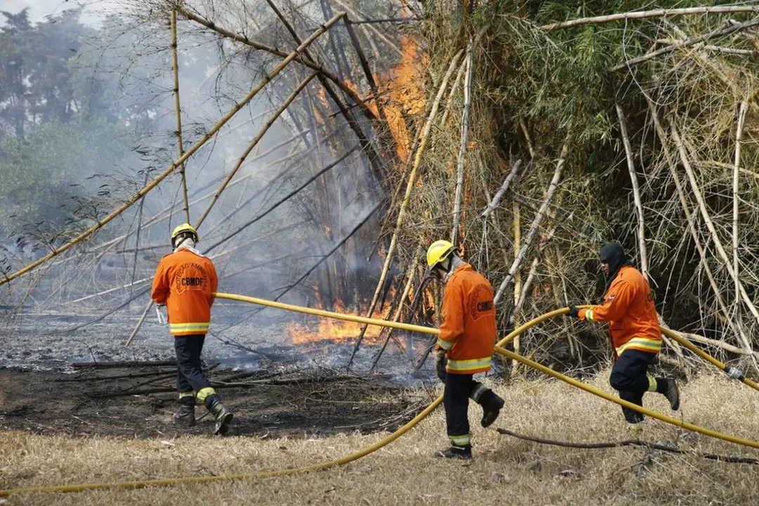 Doze bombeiros e duas viaturas foram mobilizados para apagar as chamas