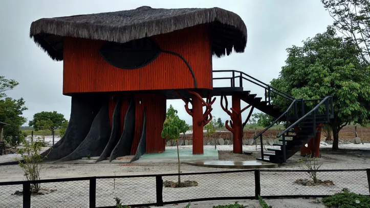 Imagem ilustrativa da imagem Após polêmica sobre museu de Krajcberg, prefeito de Nova Viçosa pede audiência com Rui