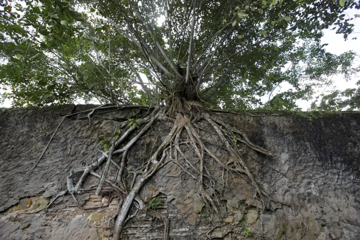 Fechado há 20 anos, Museu Wanderley Pinho guarda a memória da opulência e da escravidão no Brasil
