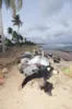 Praia do Forte já sente impacto do desastre ambiental no comércio
