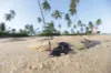Praia do Forte já sente impacto do desastre ambiental no comércio