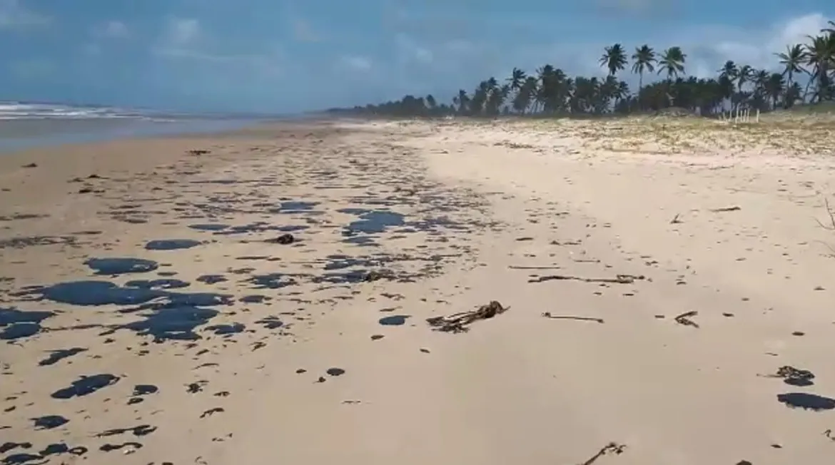As manchas já apareceram em mais de 120 praias do Nordeste