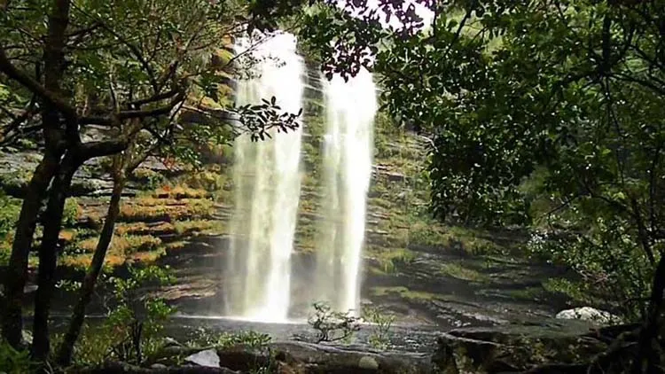 Turistas faziam trilha que ia de Lençóis até a região do Palmital, conhecida por sua cachoeira
