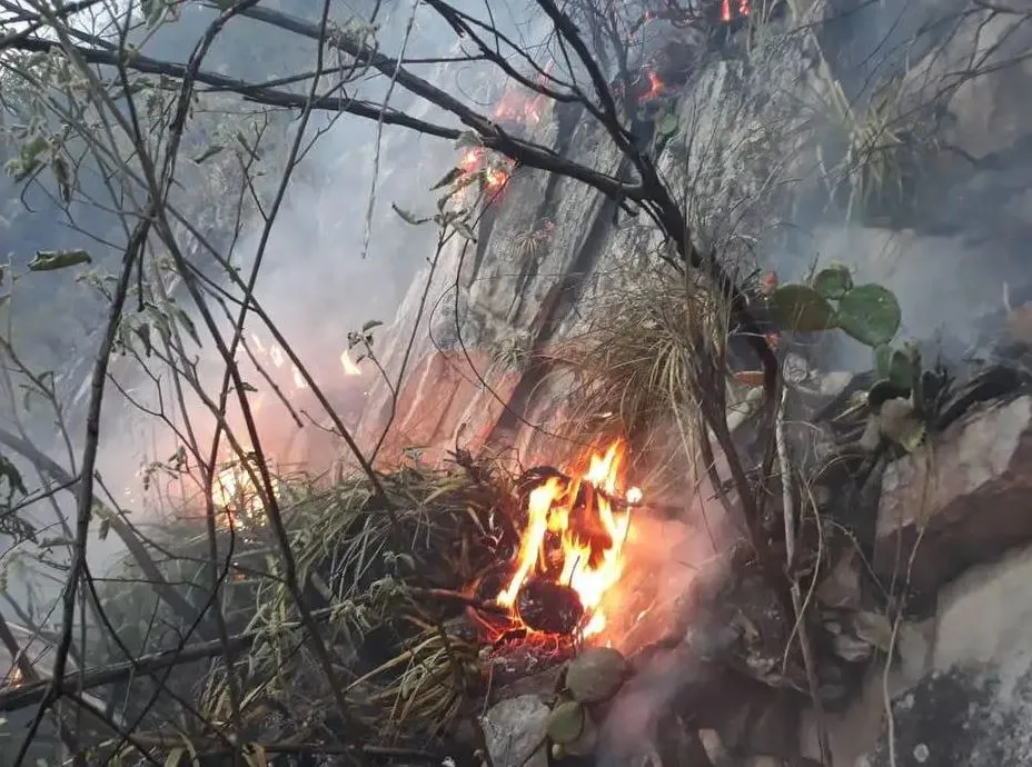 As causas do fogo não foram divulgadas