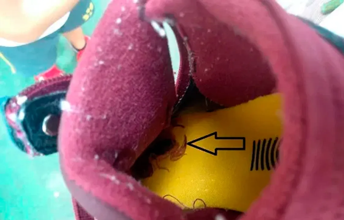 Escola informou aos pais para sempre verificarem a parte interna dos calçados