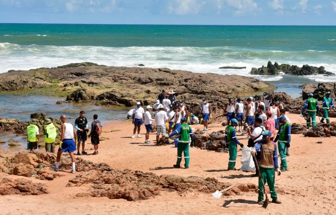 Até o momento, já foram retiradas 90 toneladas de material em 15 praias