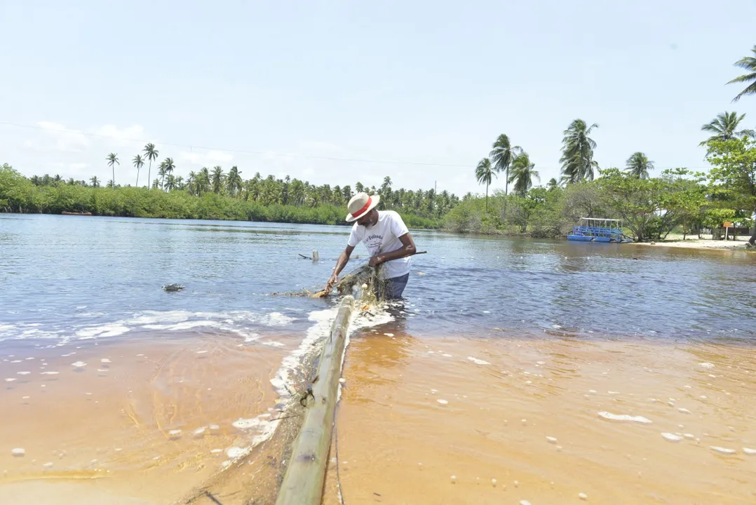 Esse número está em constante atualização pelos técnicos da Bahia Pesca