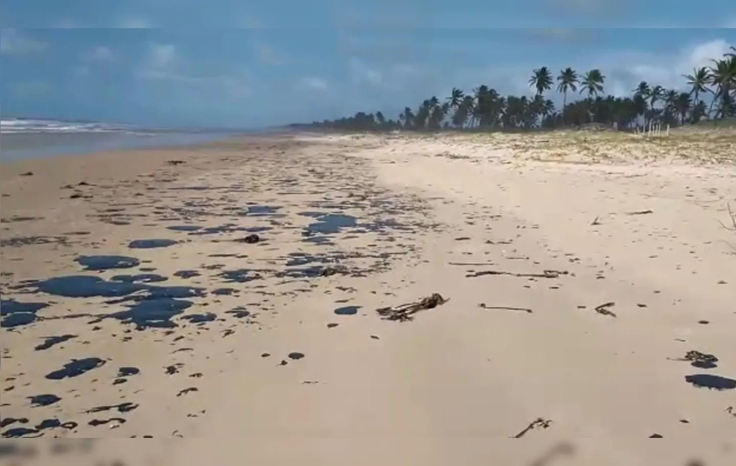 As manchas já apareceram em mais de 120 praias do Nordeste