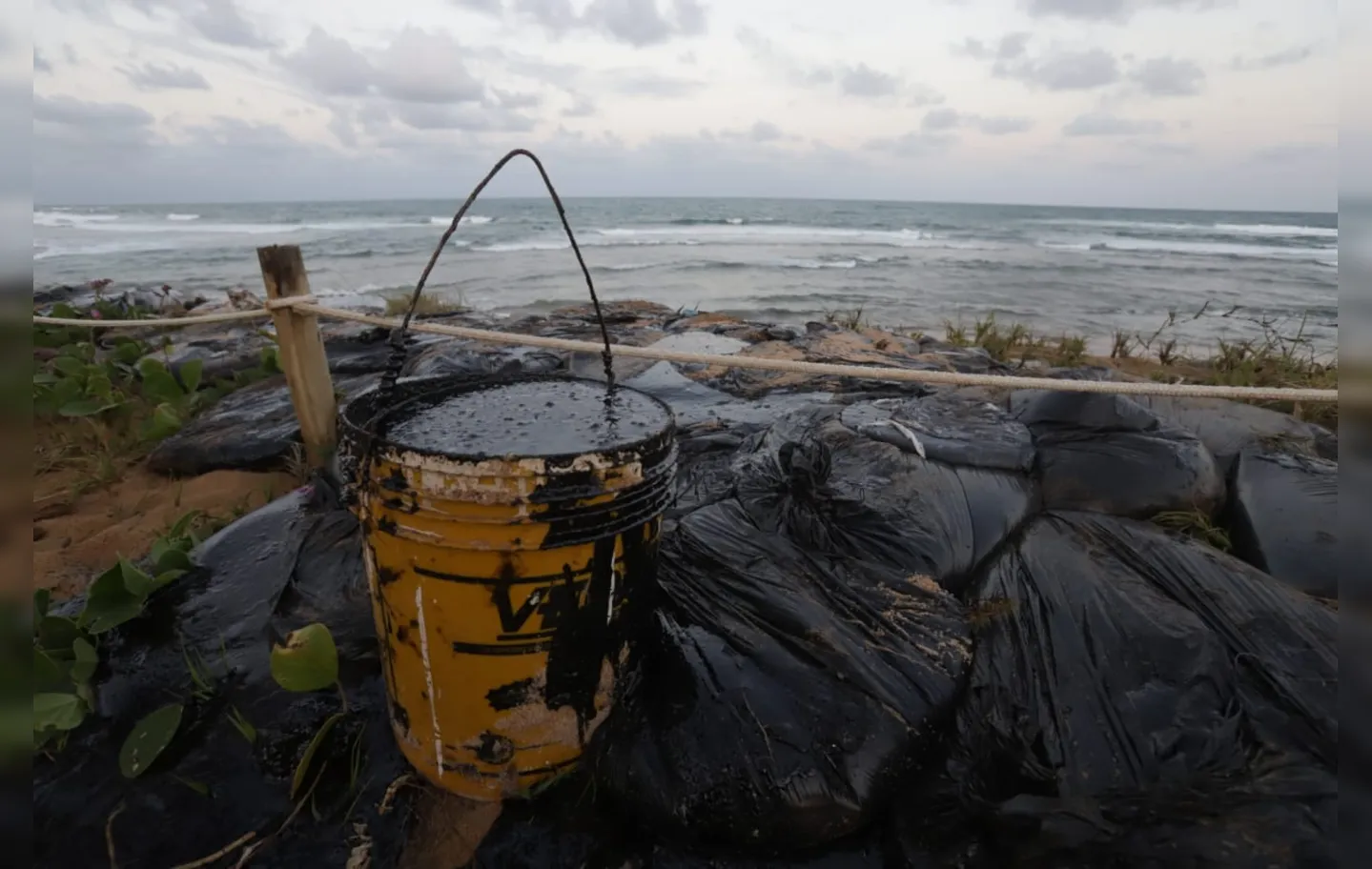 Manchas de óleo têm se espalhado em Praia do Forte