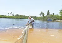 Cerca de 43 mil pescadores foram impactados por óleo nas praias
