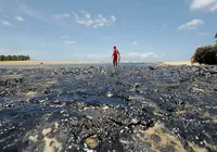 Pesca de camarão e lagosta é proibida em áreas de vazamento