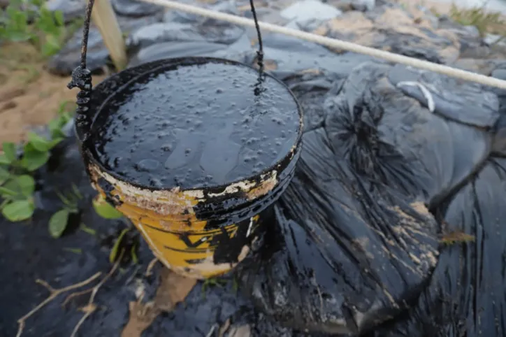 Praia do Forte já sente impacto do desastre ambiental no comércio