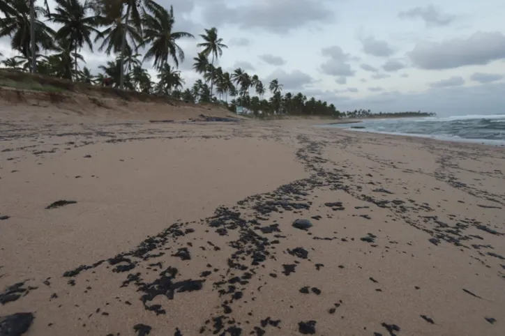 Praia do Forte já sente impacto do desastre ambiental no comércio