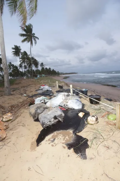 Praia do Forte já sente impacto do desastre ambiental no comércio
