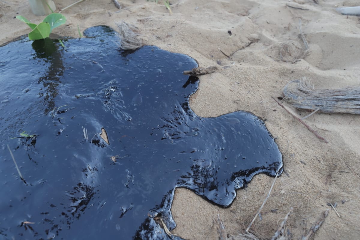 Praia do Forte já sente impacto do desastre ambiental no comércio