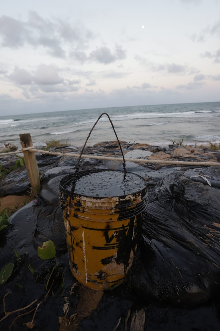 Praia do Forte já sente impacto do desastre ambiental no comércio