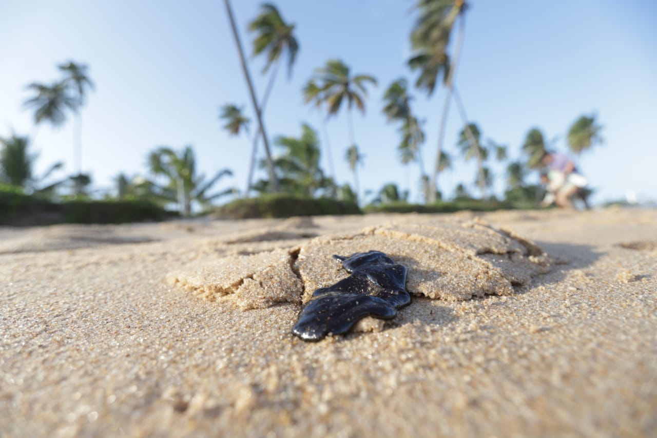 Praia do Forte já sente impacto do desastre ambiental no comércio