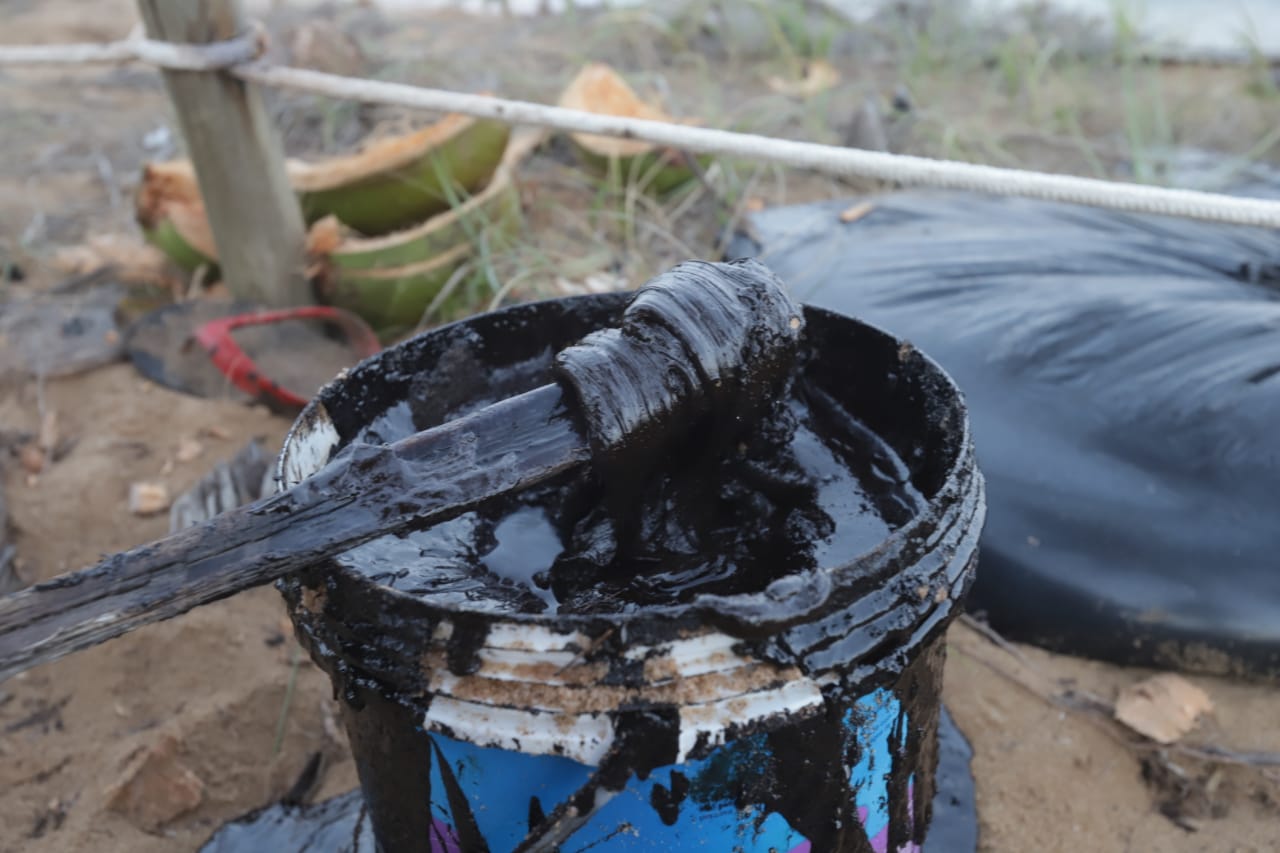 Praia do Forte já sente impacto do desastre ambiental no comércio