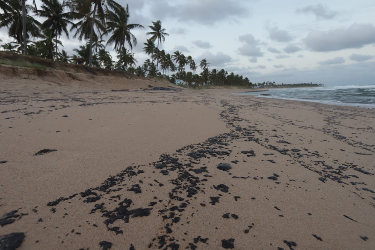 Praia do Forte já sente impacto do desastre ambiental no comércio