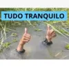 Internautas divulgam memes que ironizam chuva em Salvador