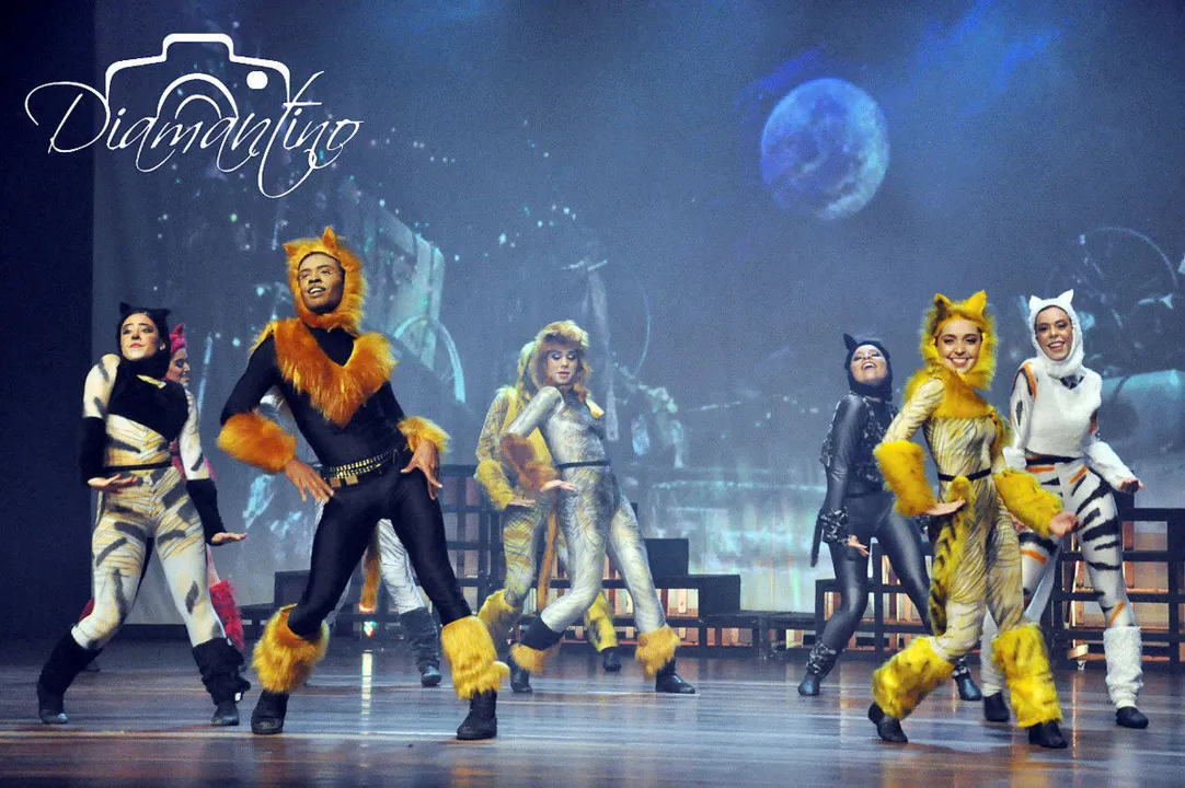 Clássico musical britânico 'Cats' é uma das releituras feitas pelo grupo | Foto: Flávio Diamantino | Divulgação