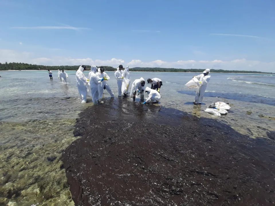 Material foi recolhido por militares da Marinha | Foto: Divulgação | Marinha