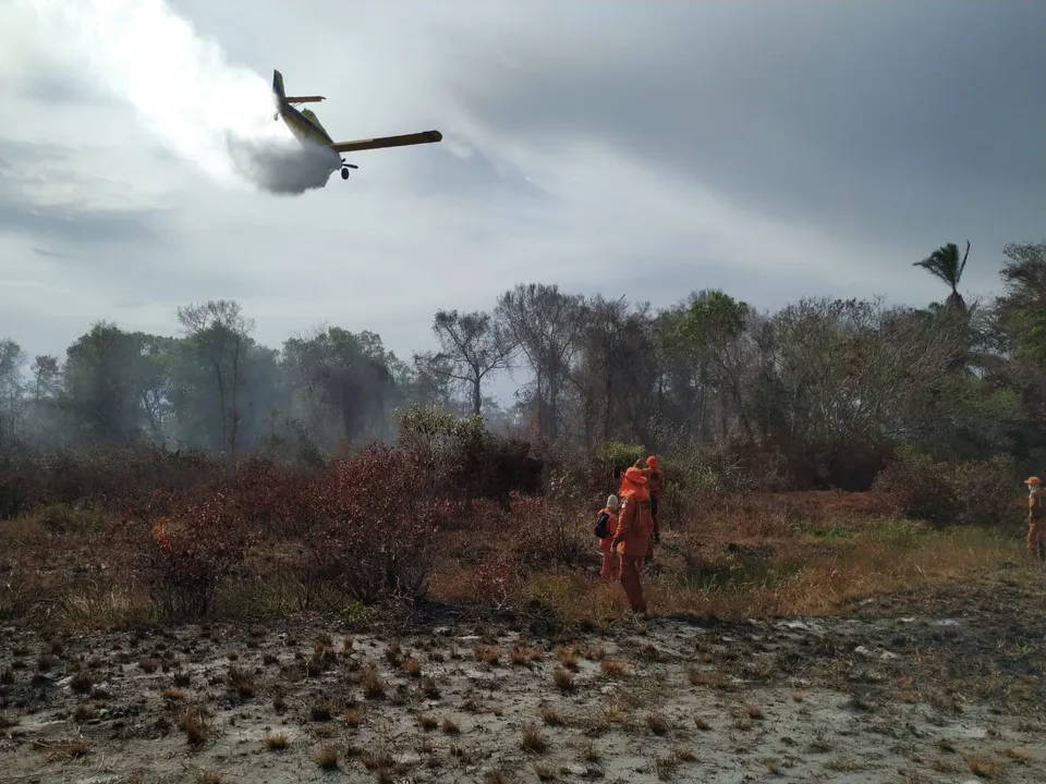 Ao todo, foram identificados 7.855 focos de incêndio na região