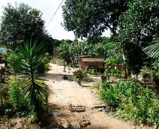 Idoso é assassinado com golpes de machado no Quilombo Rio dos Macacos