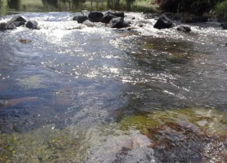 Jovem foi mordida no pé e precisou de atendimento médico | Foto: Reprodução | Giro Ipiaú