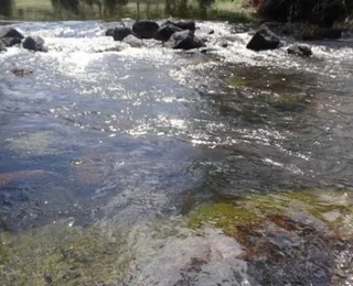 Jovem é atacada por piranha em rio no interior da Bahia