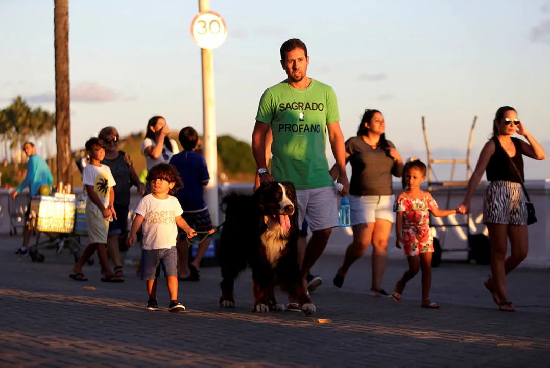 Apesar de dóceis, animais grandes como Lucky podem assustar | Foto: Adilton Venegeroles | Ag. A TARDE
