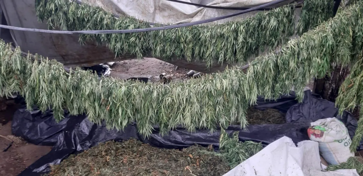 Plantão foi descoberta por denúncia anônima | Foto: Divulgação | SSP