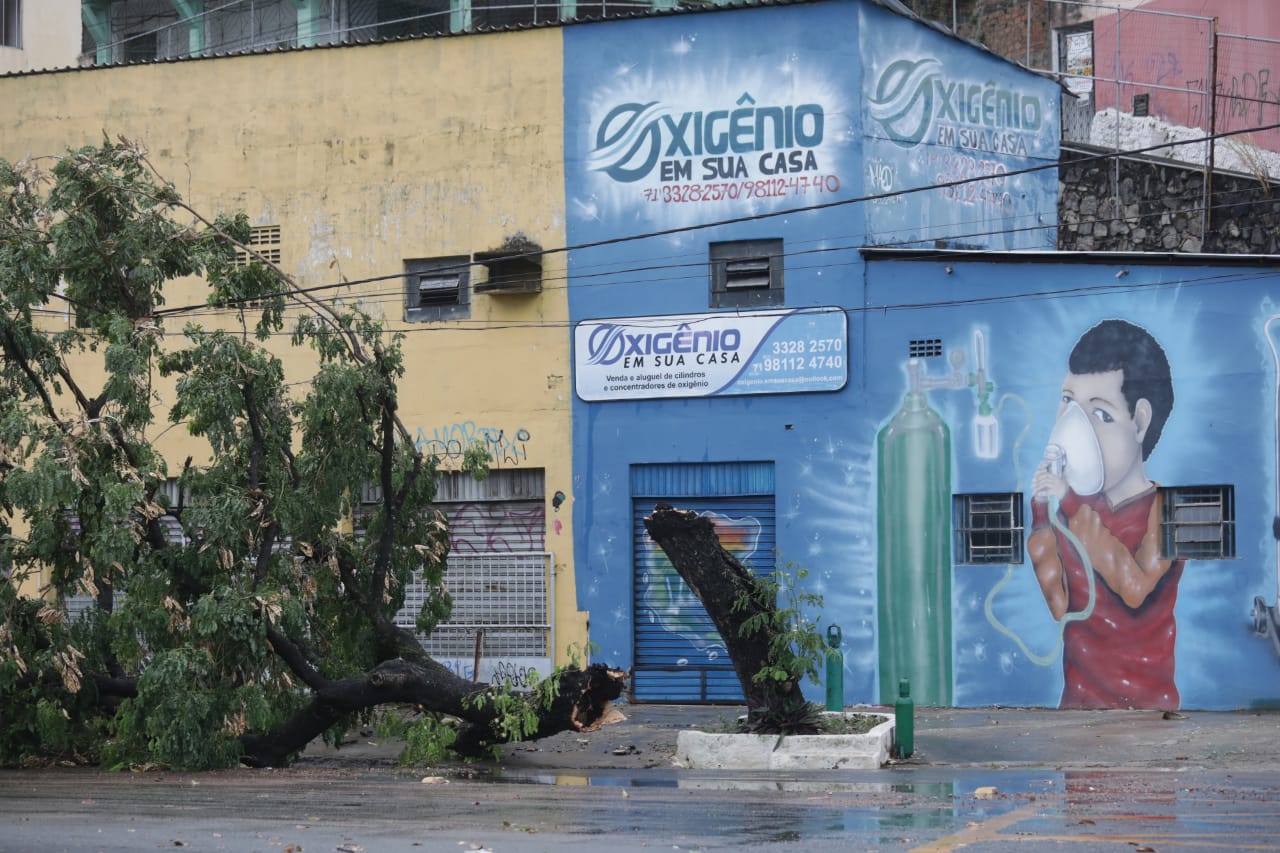 Chuva causa alagamentos e queda de árvores em pontos de Salvador