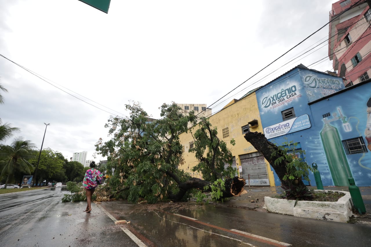 Chuva causa alagamentos e queda de árvores em pontos de Salvador