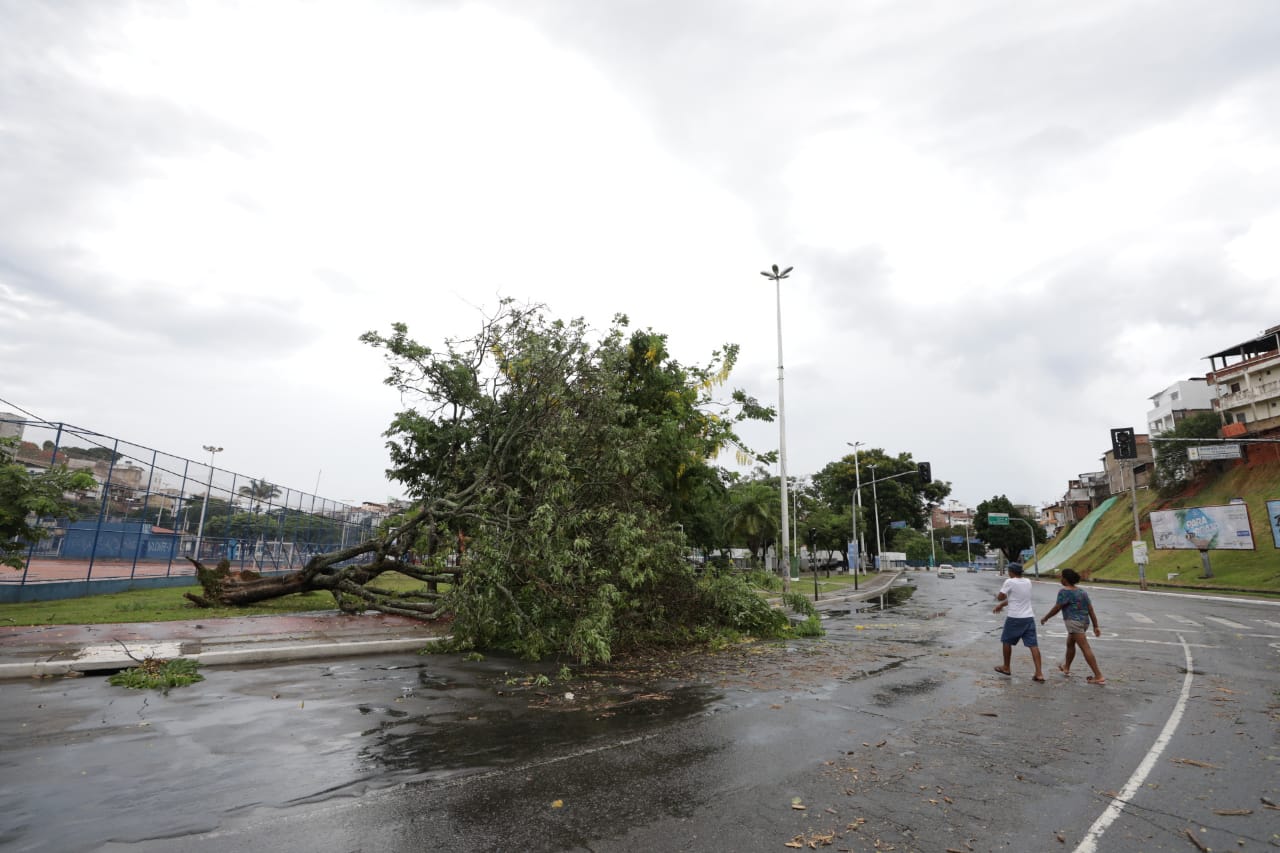Chuva causa alagamentos e queda de árvores em pontos de Salvador
