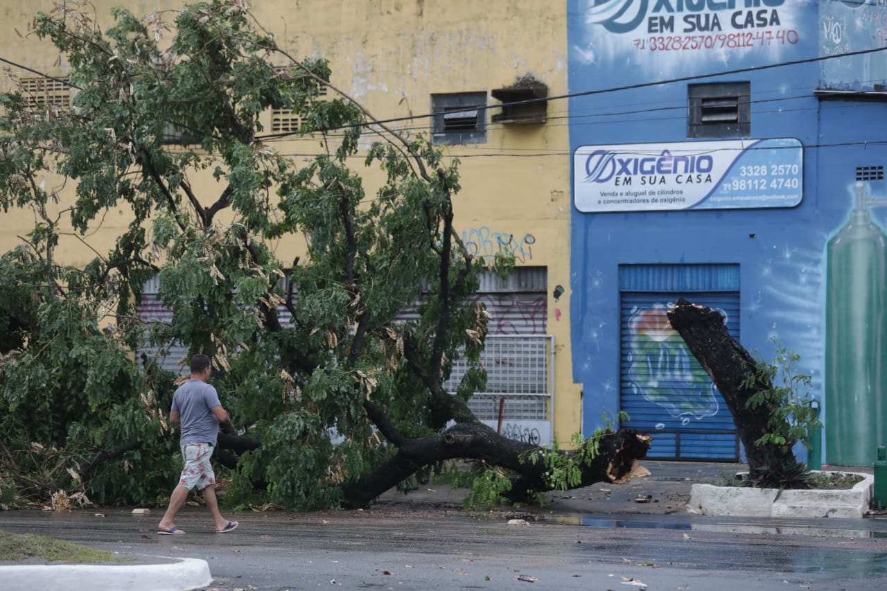 Chuva causa alagamentos e queda de árvores em pontos de Salvador