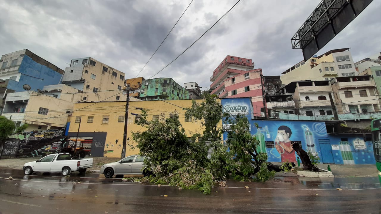 Chuva causa alagamentos e queda de árvores em pontos de Salvador