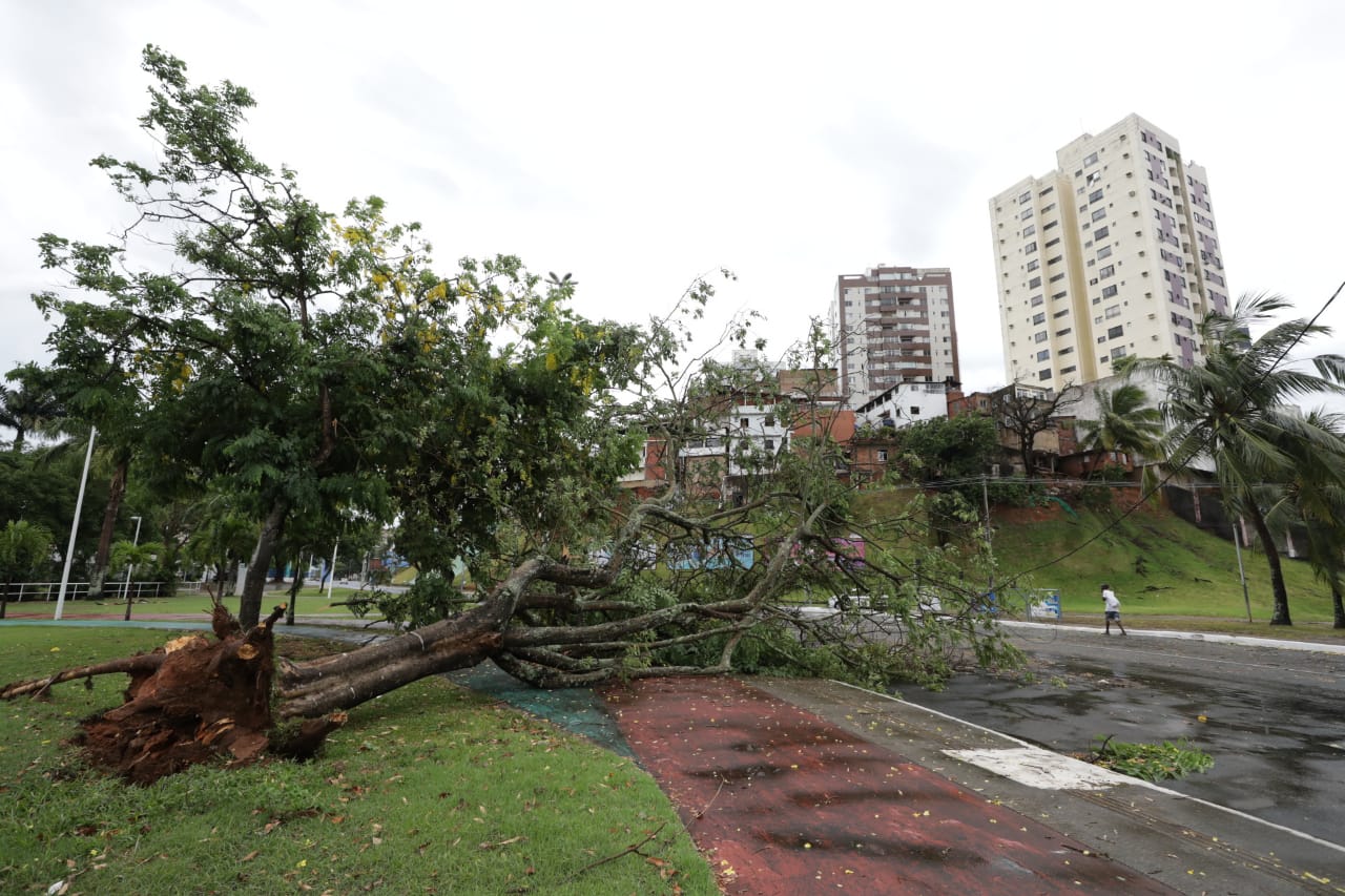 Chuva causa alagamentos e queda de árvores em pontos de Salvador
