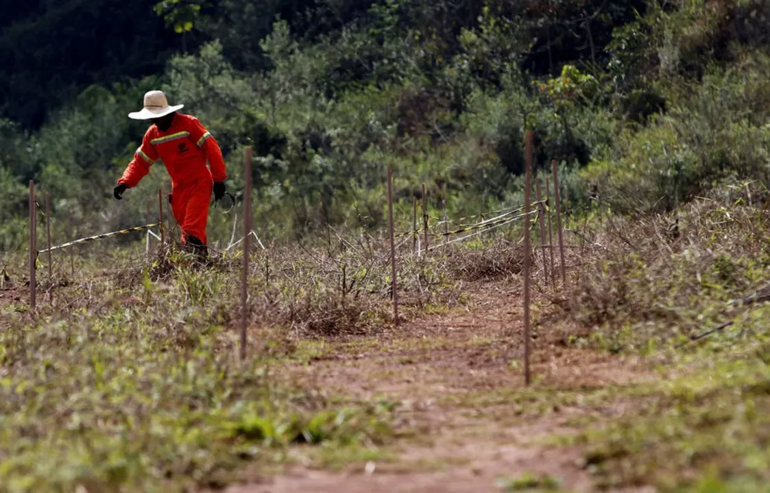 Pesquisadores buscam soluções para reparação de danos | Foto: Tânia Rêgo | Agência Brasil