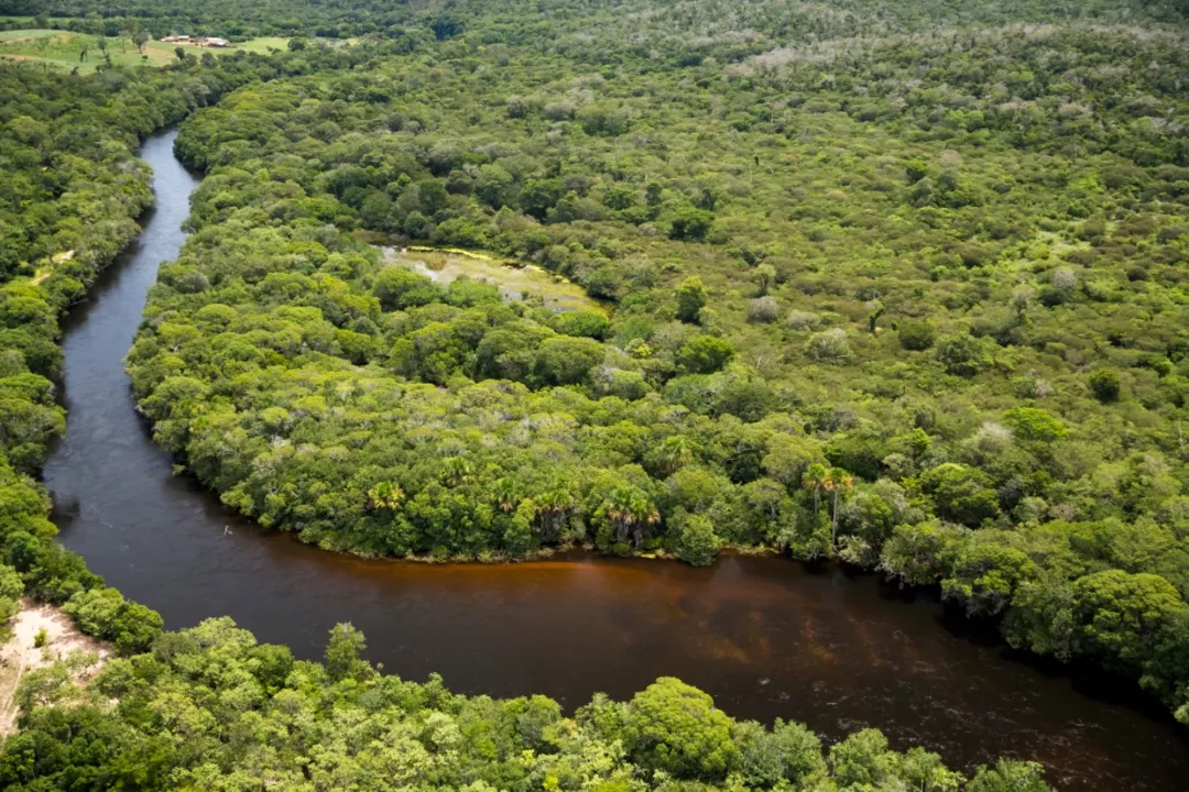 Com o reconhecimento dessas novas unidades de conservação, o Estado dobra sua área de reserva particular.