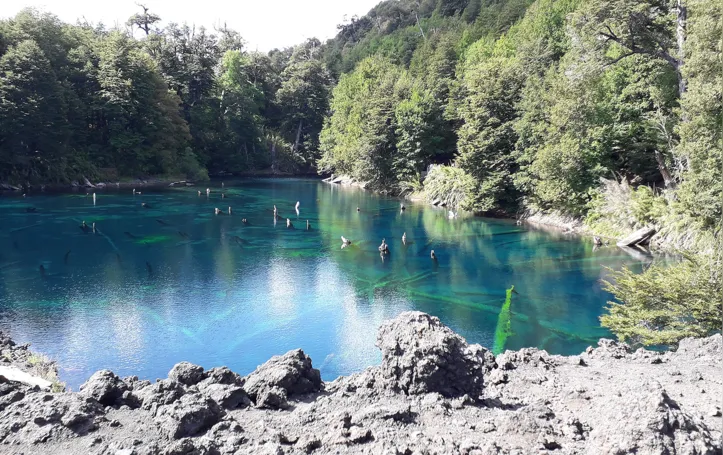 Imagem ilustrativa da imagem Expedição Chile: da história do povo ao Parque Nacional Conguillio