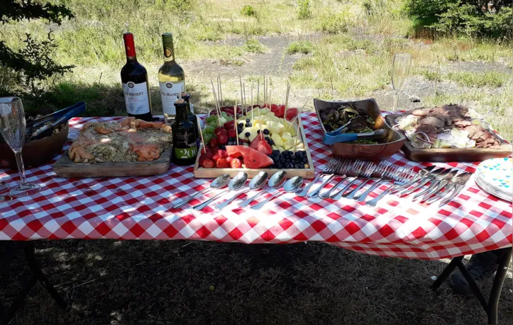 Imagem ilustrativa da imagem Expedição Chile: da história do povo ao Parque Nacional Conguillio